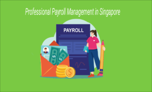 Professional Payroll Management